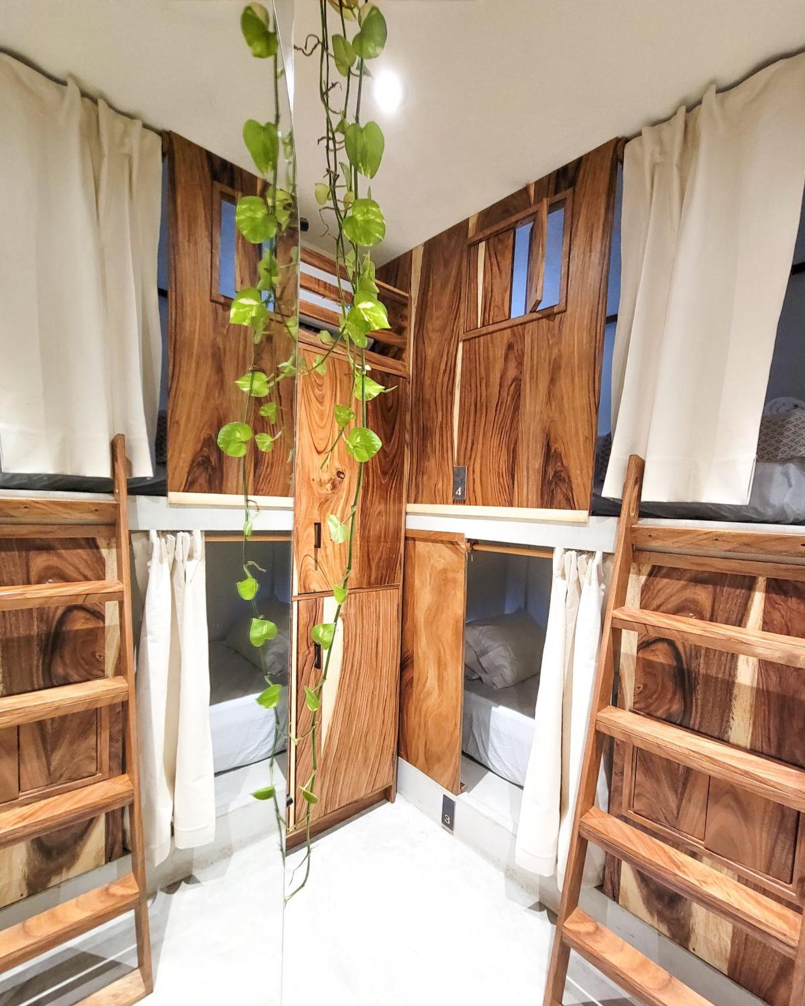 Caracola Boutique Hostel El Paredon Buena Vista Luaran gambar